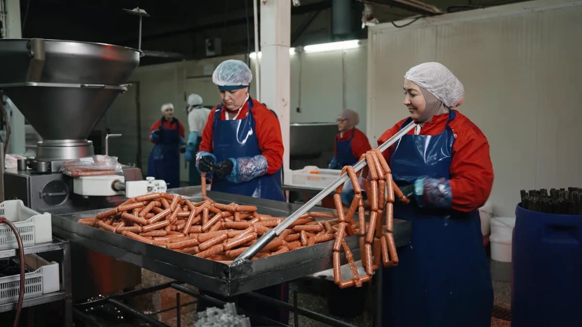 Две работницы в цехе снимают сосиски с рамы на противень